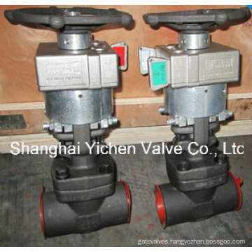 Mechanical Interlock Manual Gate Valve